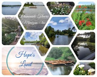 Hope's Land - gîte - Onesse-et-Laharie - 5
