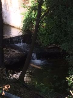 AYIOS NICOLAOS RIVER PARK - Pera Pedi - 1