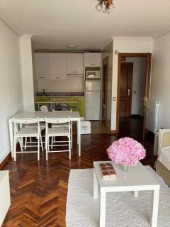 Playa Sandinero Apartamento - Santander - 8
