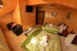 Pensiunea Dracula & Spa - Căpăţîneni-Ungureni - 7