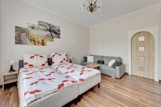 Oliwa House by Platinium Lofts - Danzica - 4