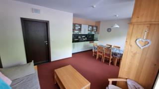 Apartman Mariana - Starý Smokovec - 9