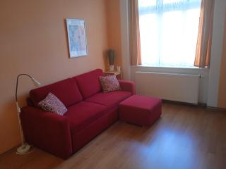 Apartment Mattoniho - Karlsbad - 8