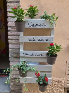 B&B Brunamonti - Arcevia - 8