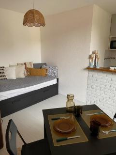 Le NID - Studio Place Emile Zola / parking gratuit - Dijon - 0