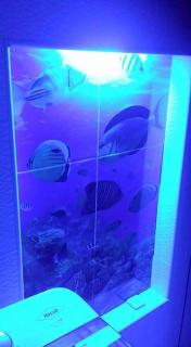 Fantástica cartagena accesible para todos - 3