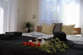 Apart Studio Rambiert - Swarzewo - 5