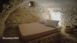 Rizomia 1865 - Yerolimin - 5