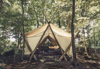 Fronterra Wellness Farm & Camp - 7