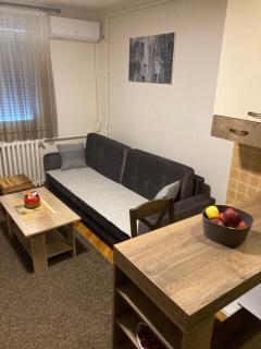 Sofi Apartment Nis - Niš - 9