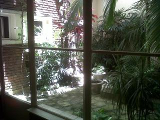 Monoambiente con vista a jardín - 3