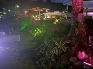 Harmony Glamping - San Luis de Gaceno - 3