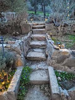 O'Brien's Oasis - Miramonte - 5