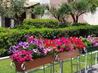 Corfu Glyfada Apartment 46 - Glyfada - 5