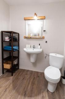 Zaciszny Apartament w Zdroju - Kudowa-Zdrój - 8