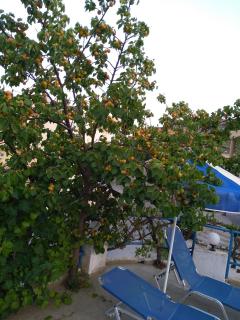 Creta Sun Hotel Studios - 7