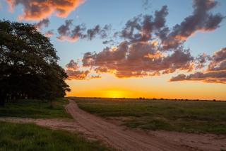 Woodside Game Lodge - - 6
