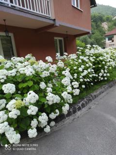Demmir - Travnik - 8