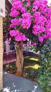 Holiday home Zora - family vacation house near protected area of the Nature Park Kamenjak, with green yard, WiFi, Air-con - Premantura - 2