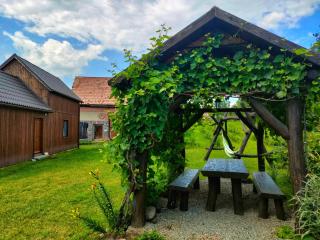 Organicle Lodge - Sîncrăieni - 4