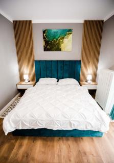 Mon Jardin Apartment - Cluj-Napoca - 9