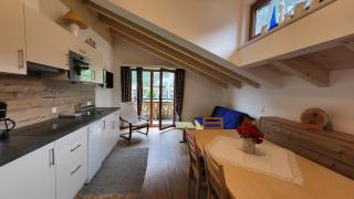 Haus Wechselberger - Mayrhofen - 8