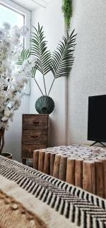 #NEW#TERRASSE SUD OUEST#PIED DE LA CITÉ #1 - Carcassonne - 3