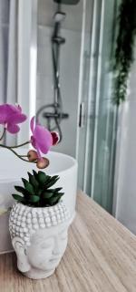 #NEW#TERRASSE SUD OUEST#PIED DE LA CITÉ #1 - Carcassonne - 9