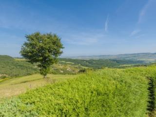Podere del mezzadro - Contignano - 1