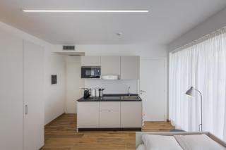 Modern Studios Mendrisio - Mendrisio - 3