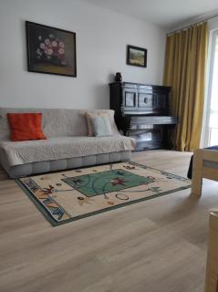 Apartament Centrum u Marianny - Częstochowa - 8
