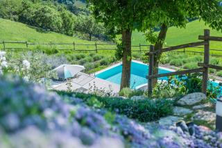Villa del Duca - Urbania - 7