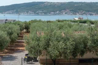 'Olive grove' Camping House-near the beach - Divulje - 9