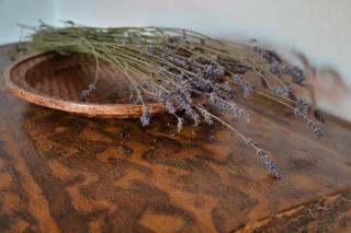 Camera a Casa Castora - 2