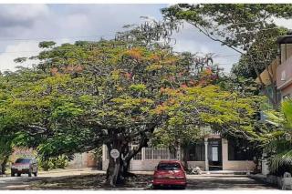 Villa Aurora - Ricaurte - 9