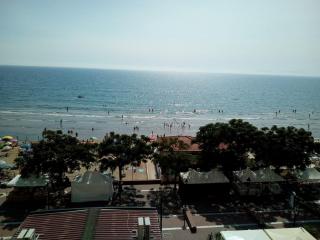 Palazzo tre palme - 3