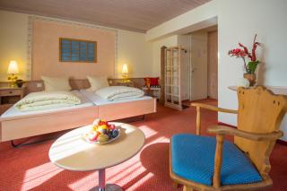 Hotel La Cruna - Sedrun - 5