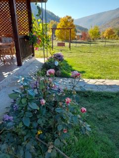 Apartmani Petar - Mokra Gora - 0