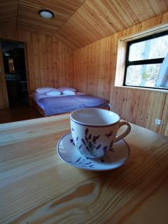 Wagon Przystanek Gnilec - 7