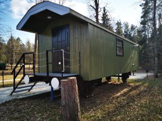 Wagon Przystanek Gnilec - Narewka - 2