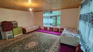 Panorama - Arslanbob - 8
