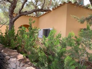 Casa Carmencita, immersa nel verde a due passi da mare - Es Caló - 4