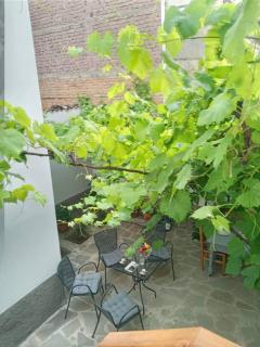 Green Housee - Korçë - 4