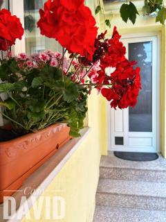 Casa David - Braşov - 9