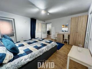 Casa David - Braşov - 6