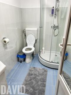 Casa David - Braşov - 3