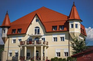 Castle Csányi - Livezeni - 9