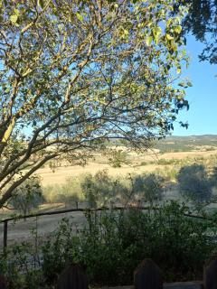 Agriturismo Podere Cherzo - 4