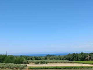 Apartments Vesna - 7