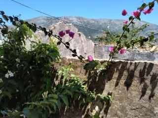Sweet home of Kefalonia - Ayia Evfimia - 1